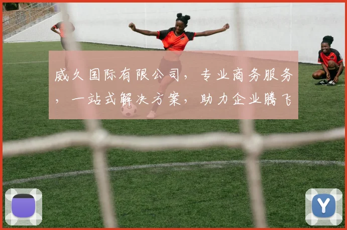 威久国际有限公司，专业商务服务，一站式解决方案，助力企业腾飞，共赢未来