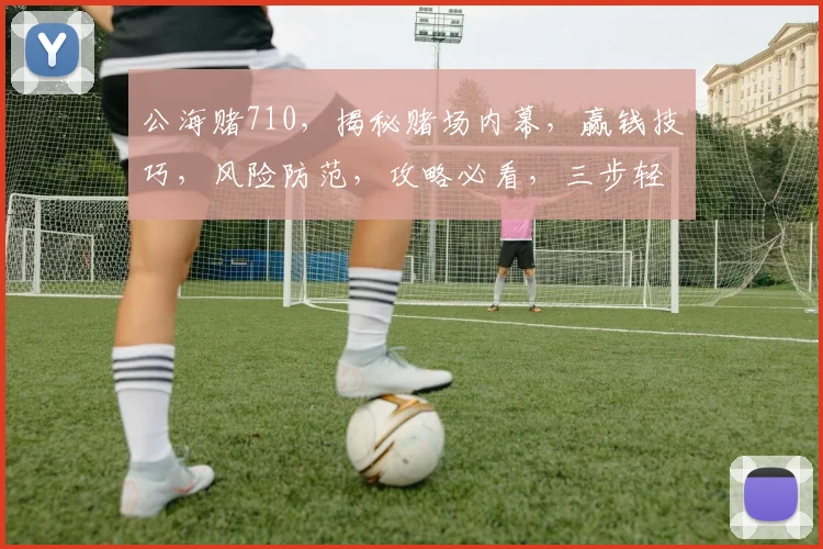 公海赌710，揭秘赌场内幕，赢钱技巧，风险防范，攻略必看，三步轻松入门